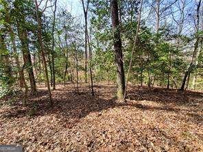 392 Beaver Ridge Road Jasper - 34