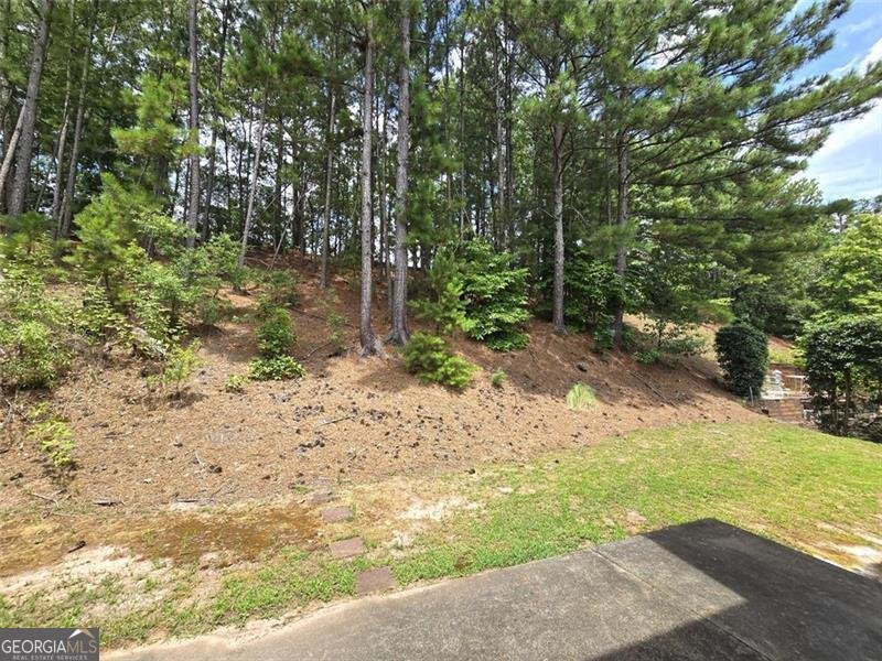 3070 RIDGE OAK Drive Suwanee - 45