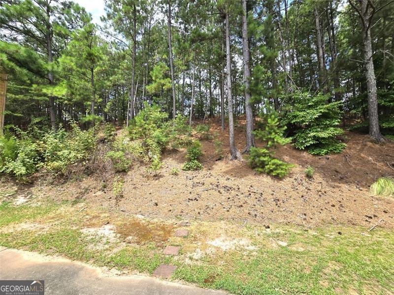 3070 RIDGE OAK Drive Suwanee - 46