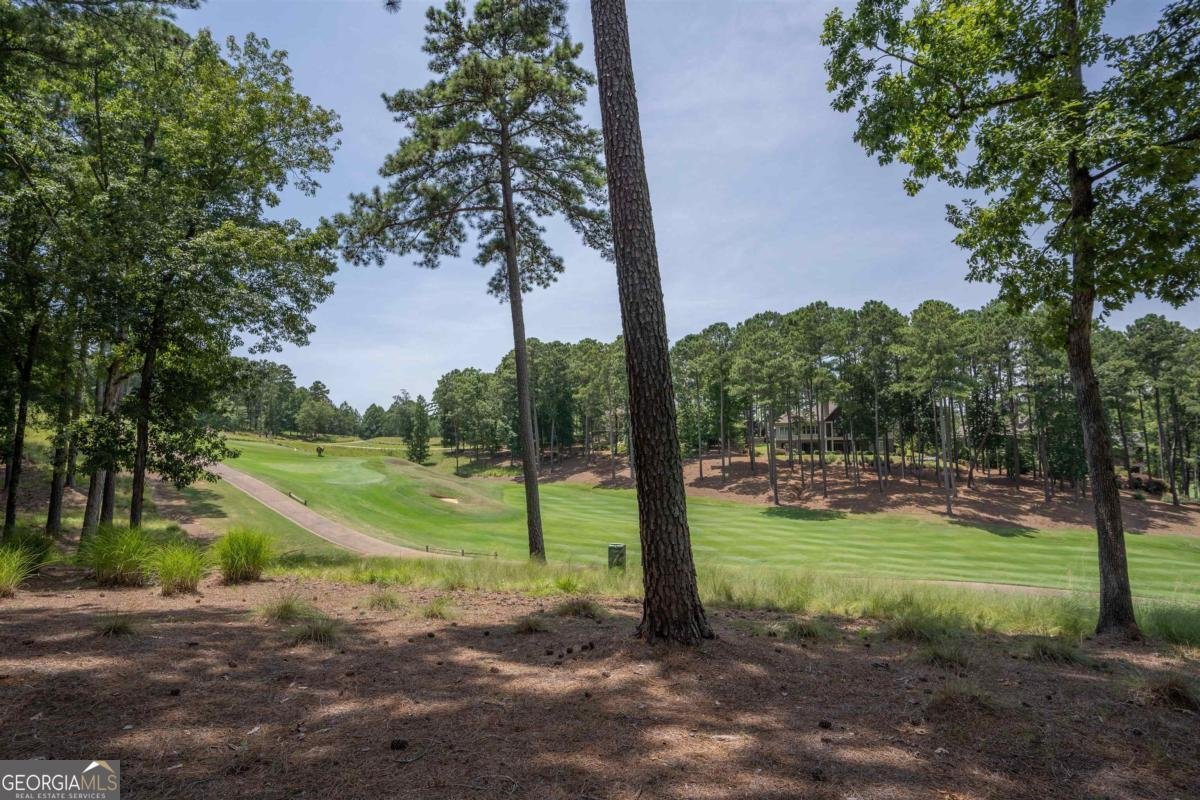 1181 Mill Creek Greensboro - 74