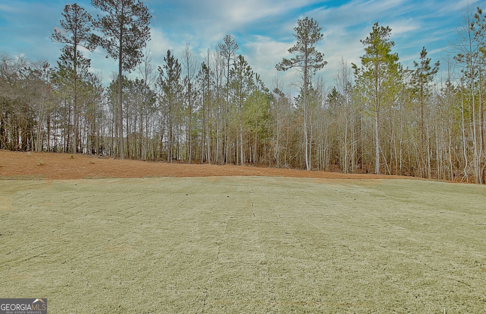 194 Forest Berry Court Newnan - 95