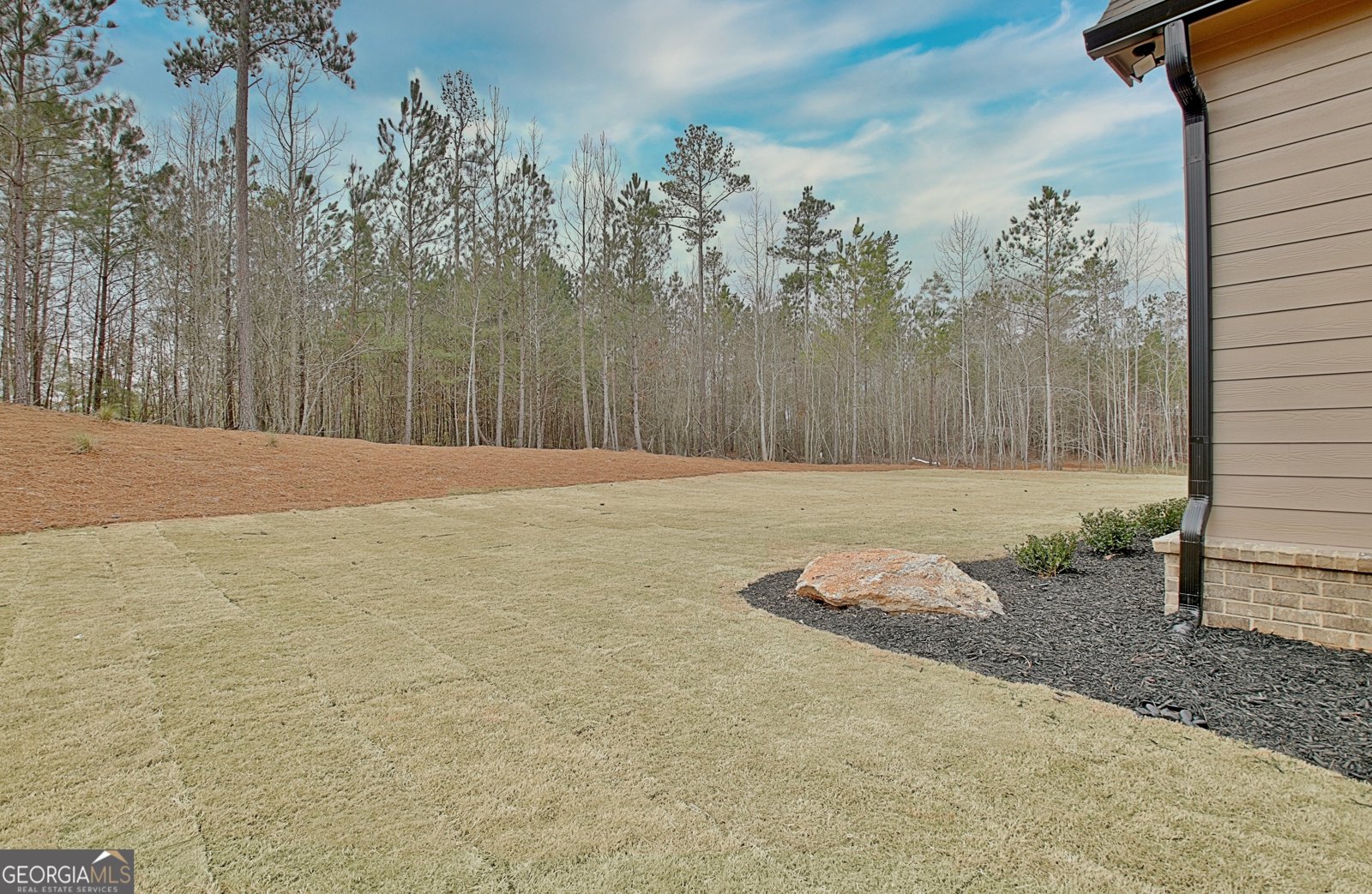 194 Forest Berry Court Newnan - 96