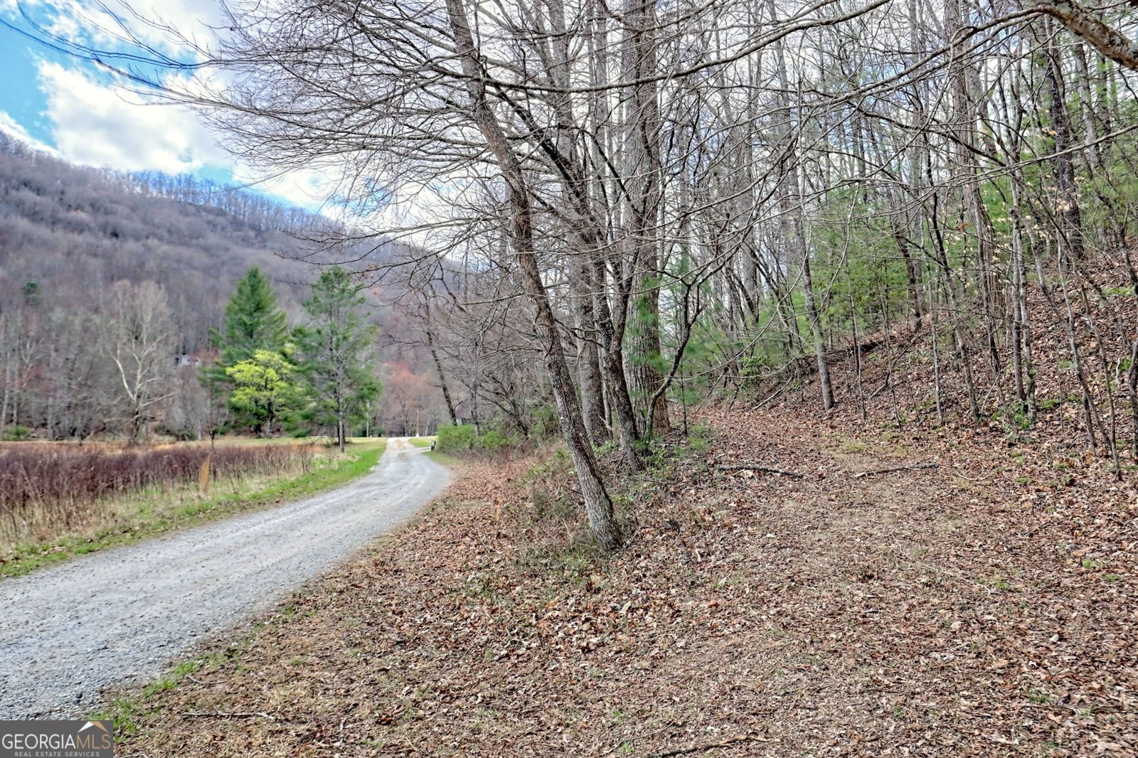 1222 Shope Road Otto - 6