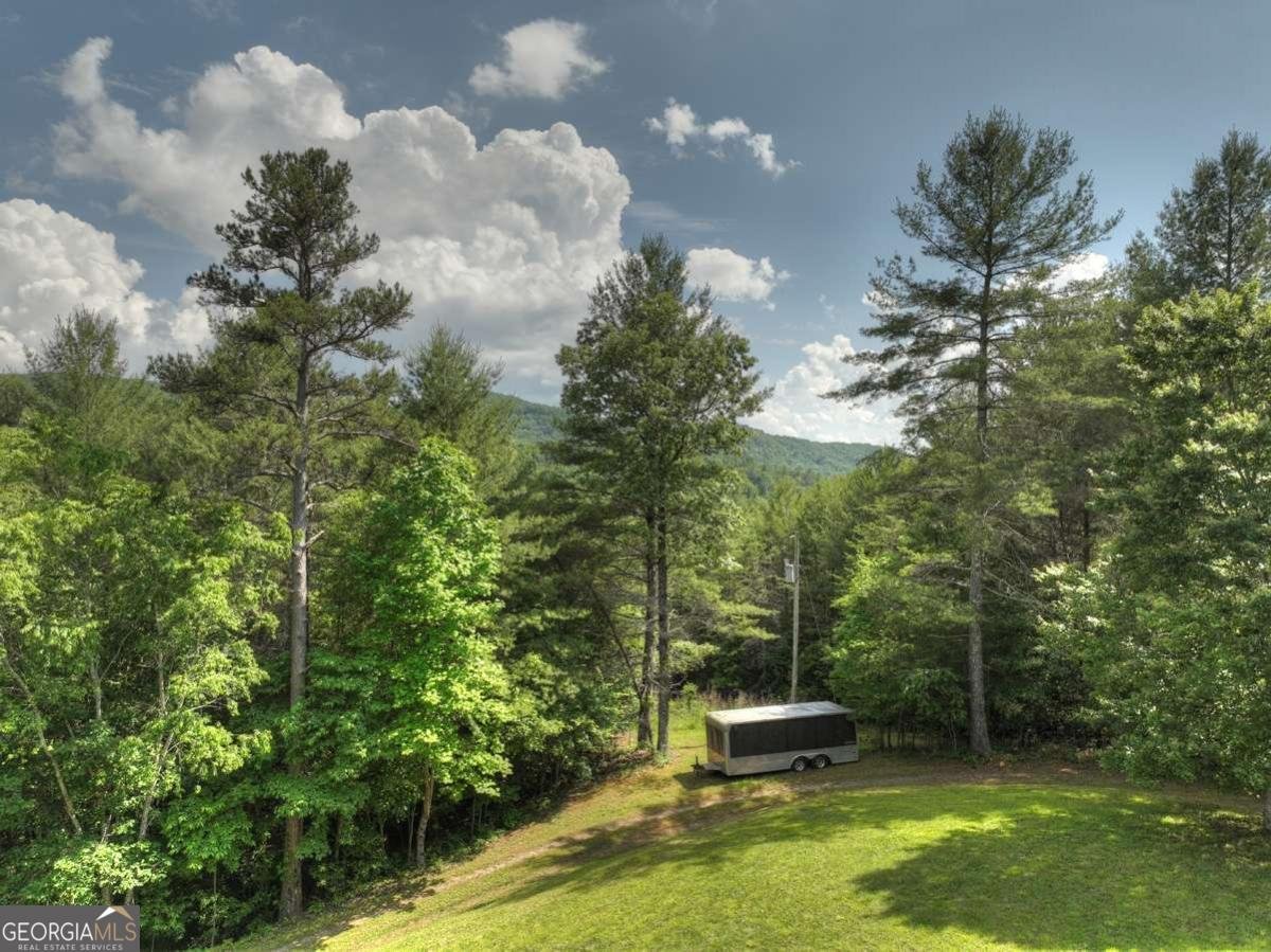 3731 Cutcane Road Mineral Bluff - 5