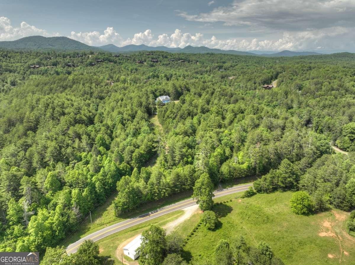 3731 Cutcane Road Mineral Bluff - 51