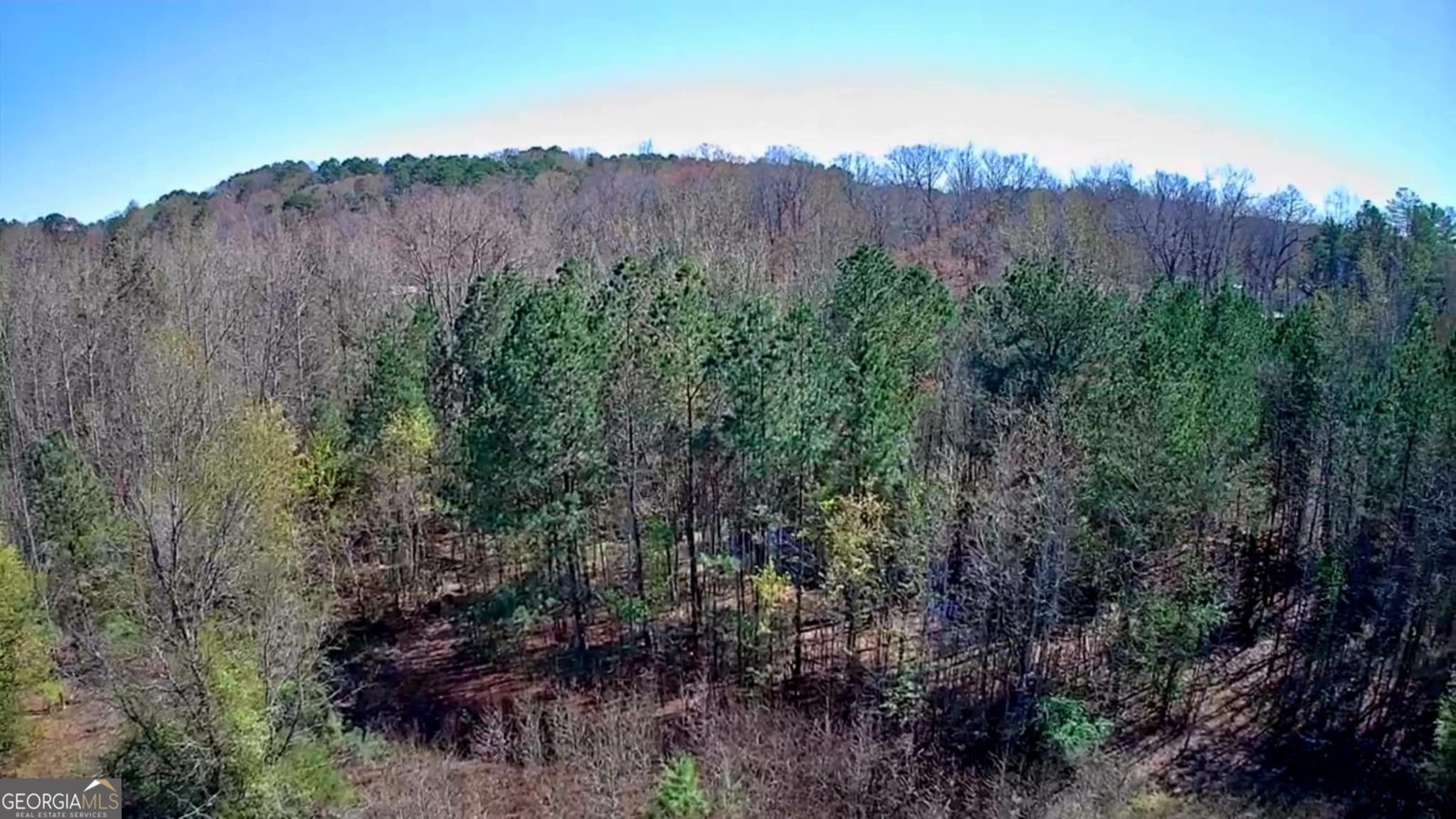 778 Mission Ridge Road Rossville - 11