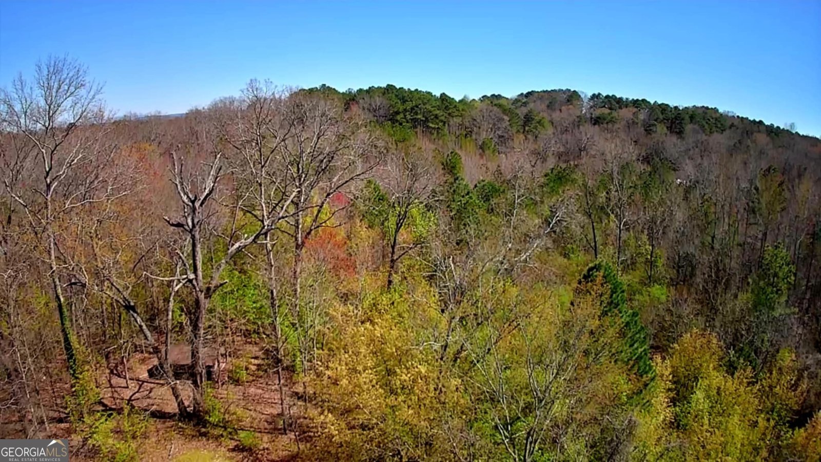 778 Mission Ridge Road Rossville - 14