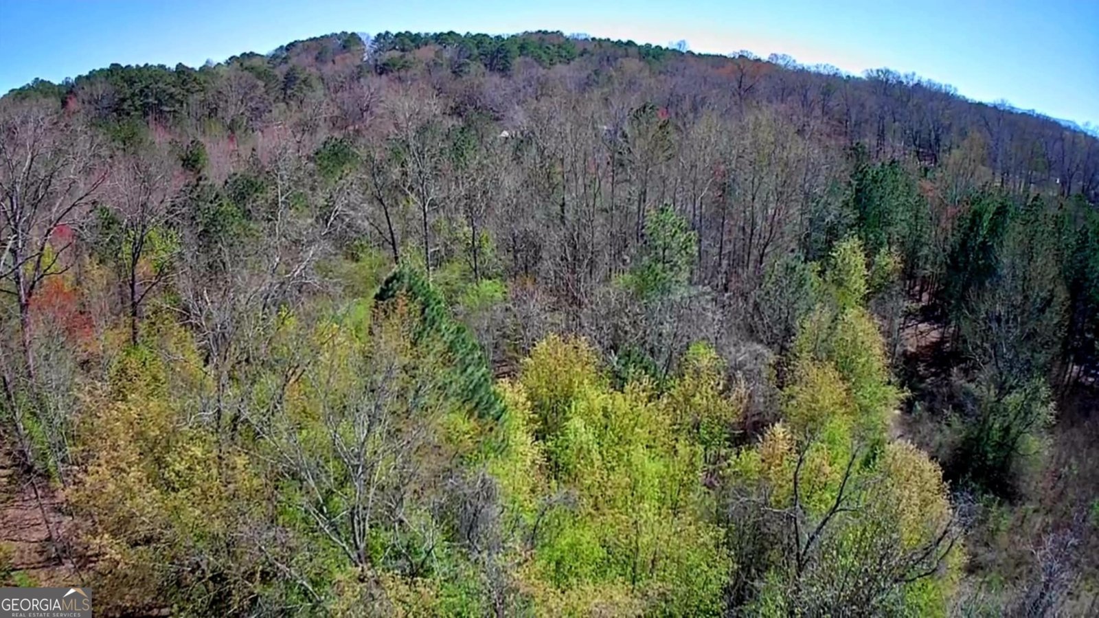 778 Mission Ridge Road Rossville - 15