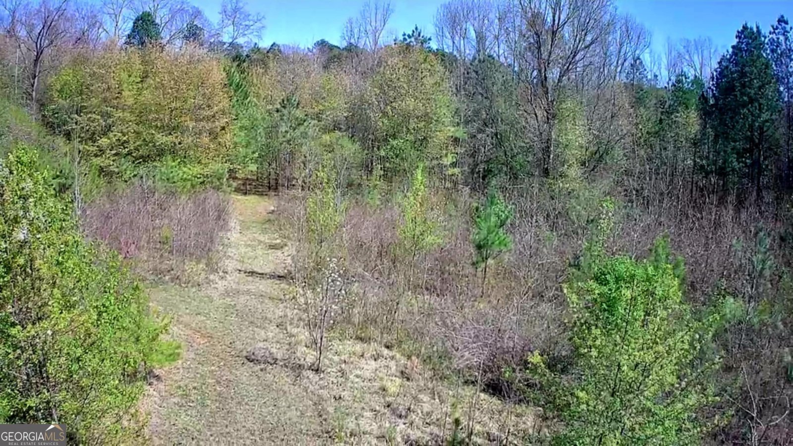 778 Mission Ridge Road Rossville - 18