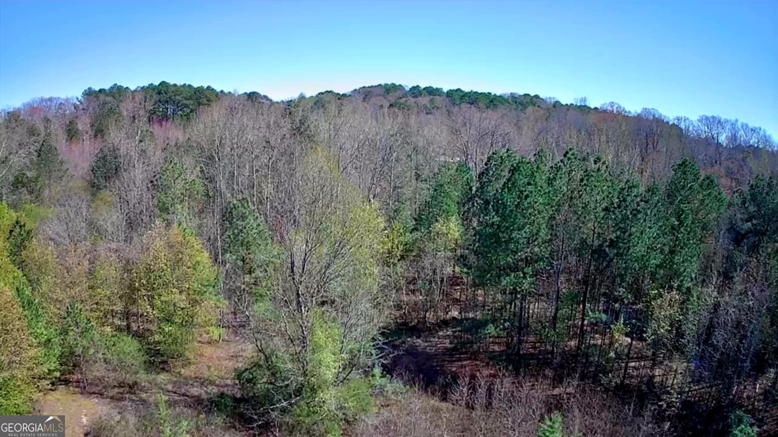 778 Mission Ridge Road Rossville - 21