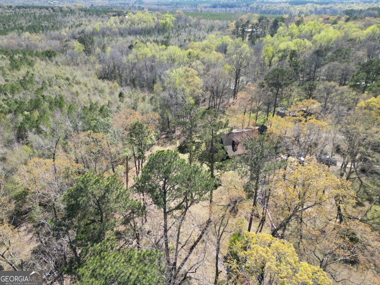 2098 Oconee Church Road Dublin - 26