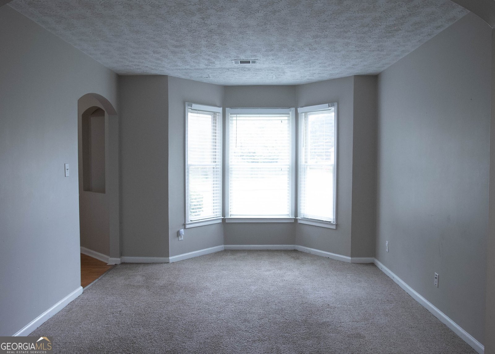 3152 Parks Run Loganville - 14