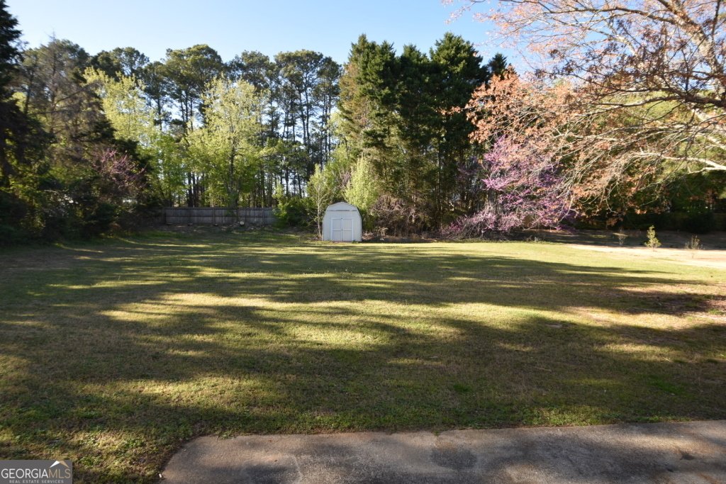 3152 Parks Run Loganville - 6