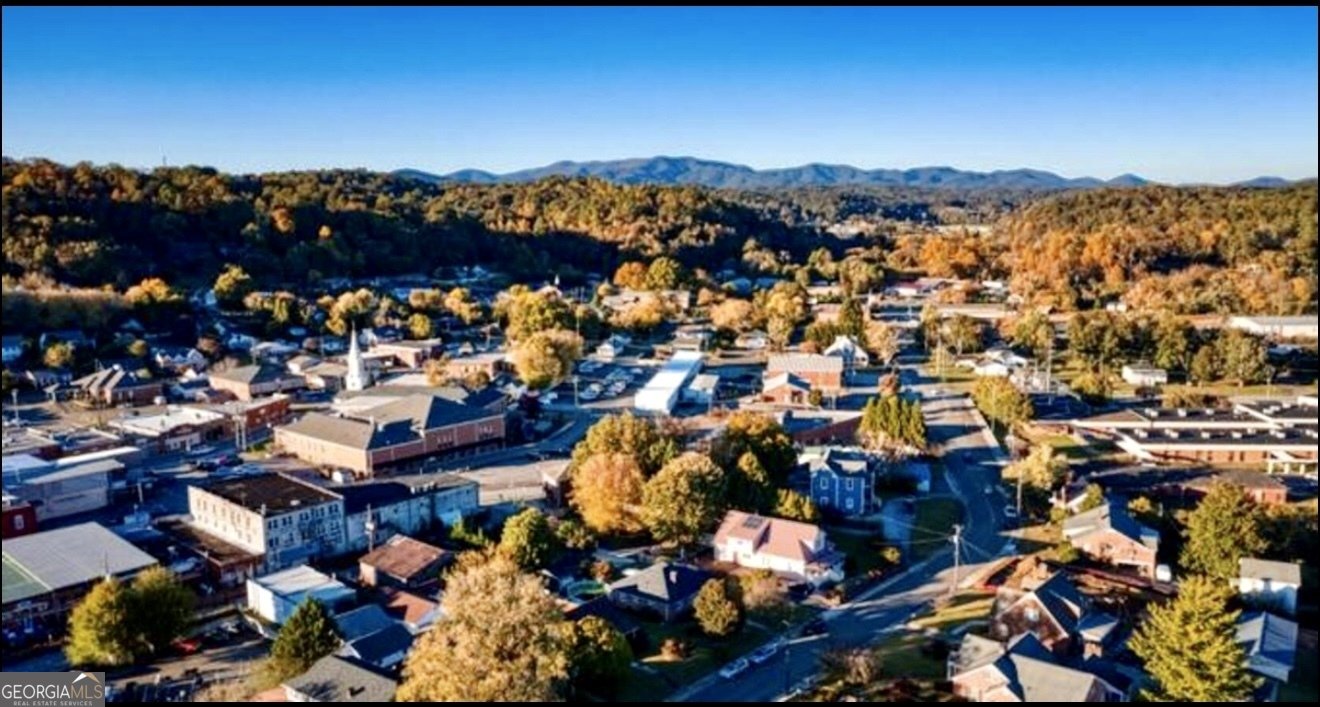 151 25th Street Ellijay - 23