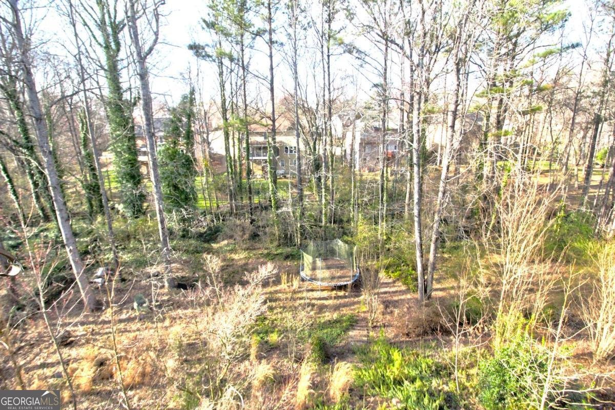 1023 Hawk Creek Trail Lawrenceville - 39