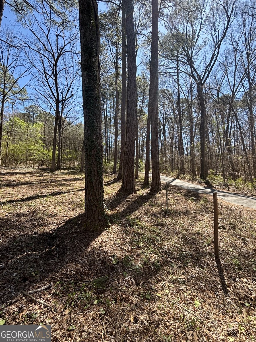 2103 River Road Ellenwood - 7