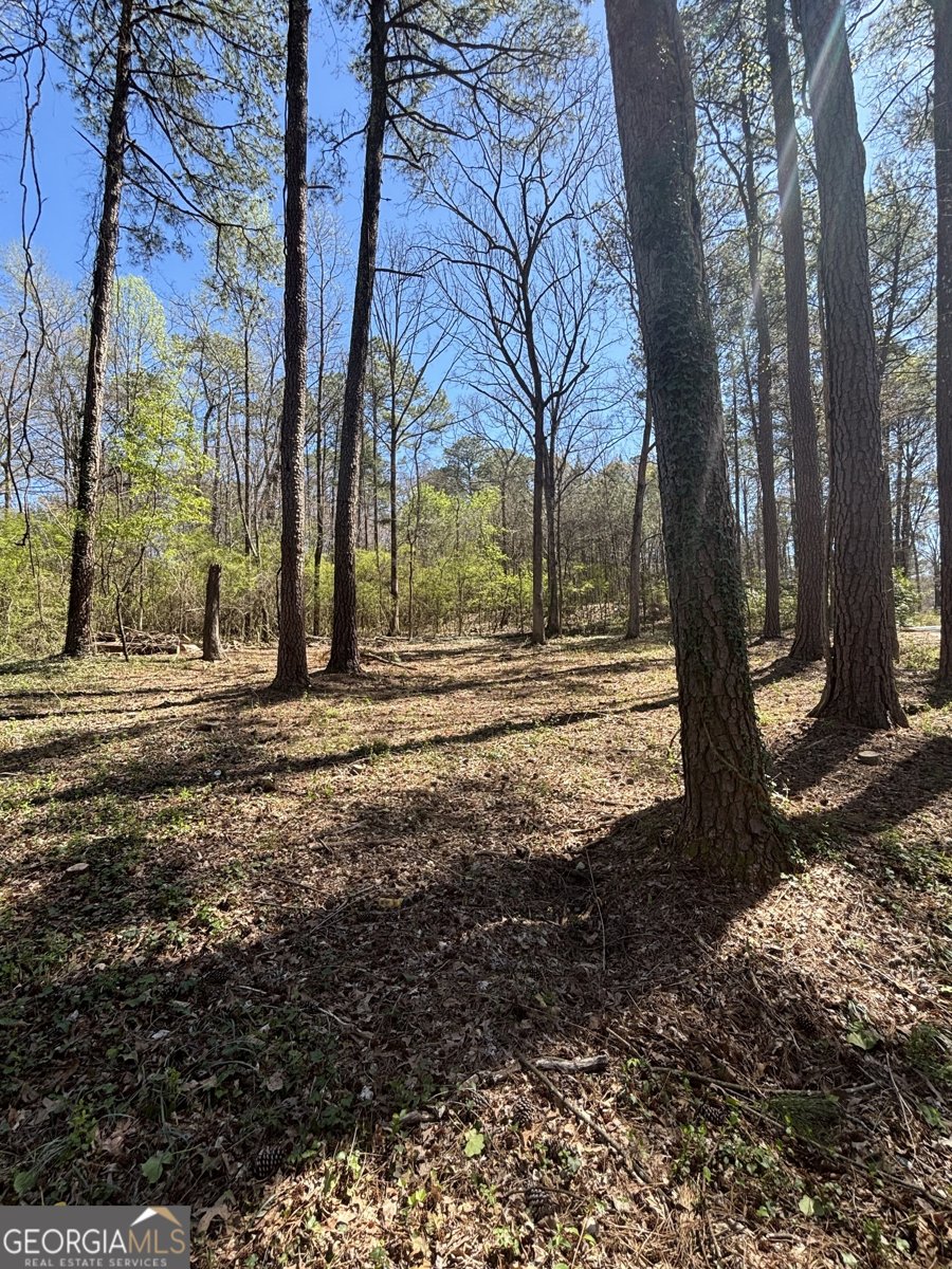 2103 River Road Ellenwood - 8