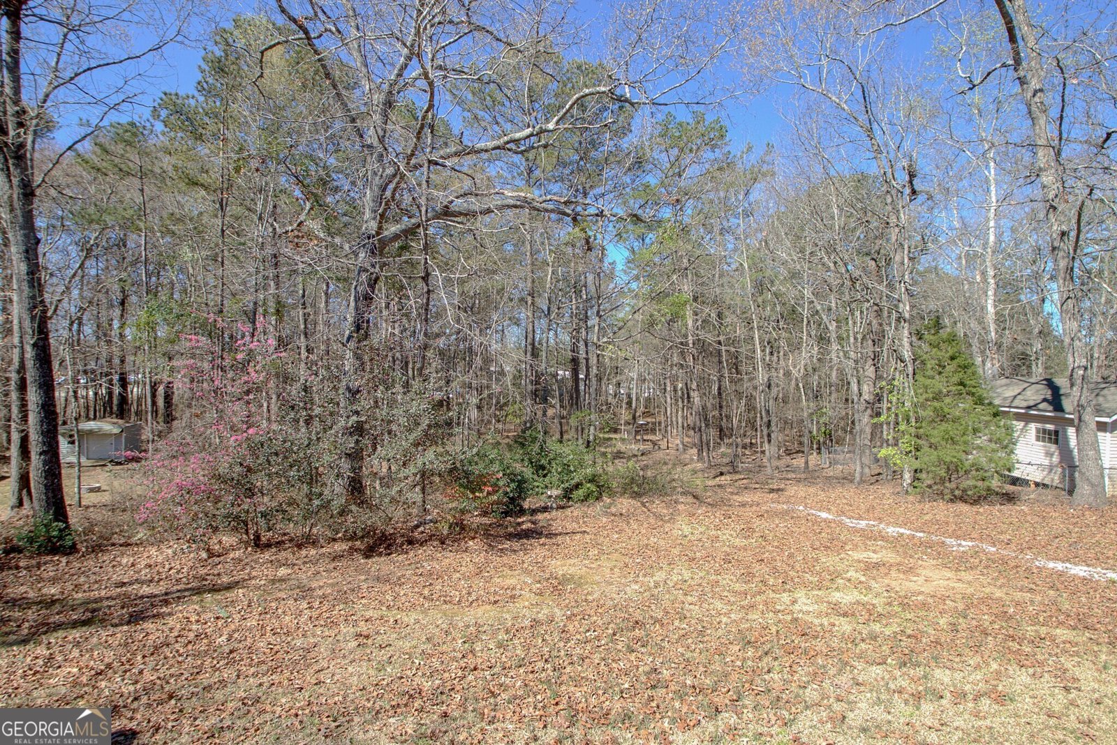 36 Cumberland Trail Senoia - 39
