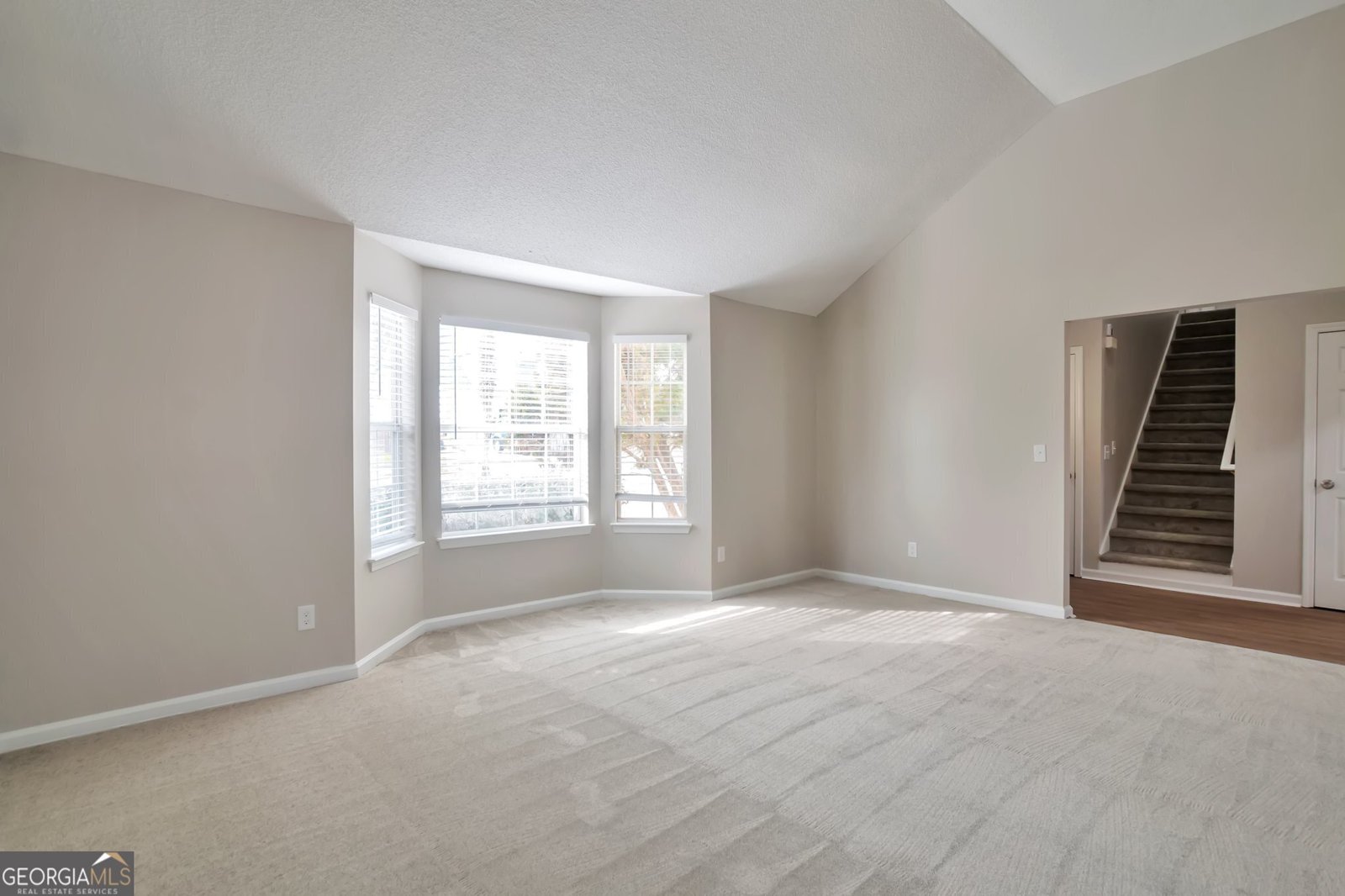 4410 Millenium View Court Snellville - 3