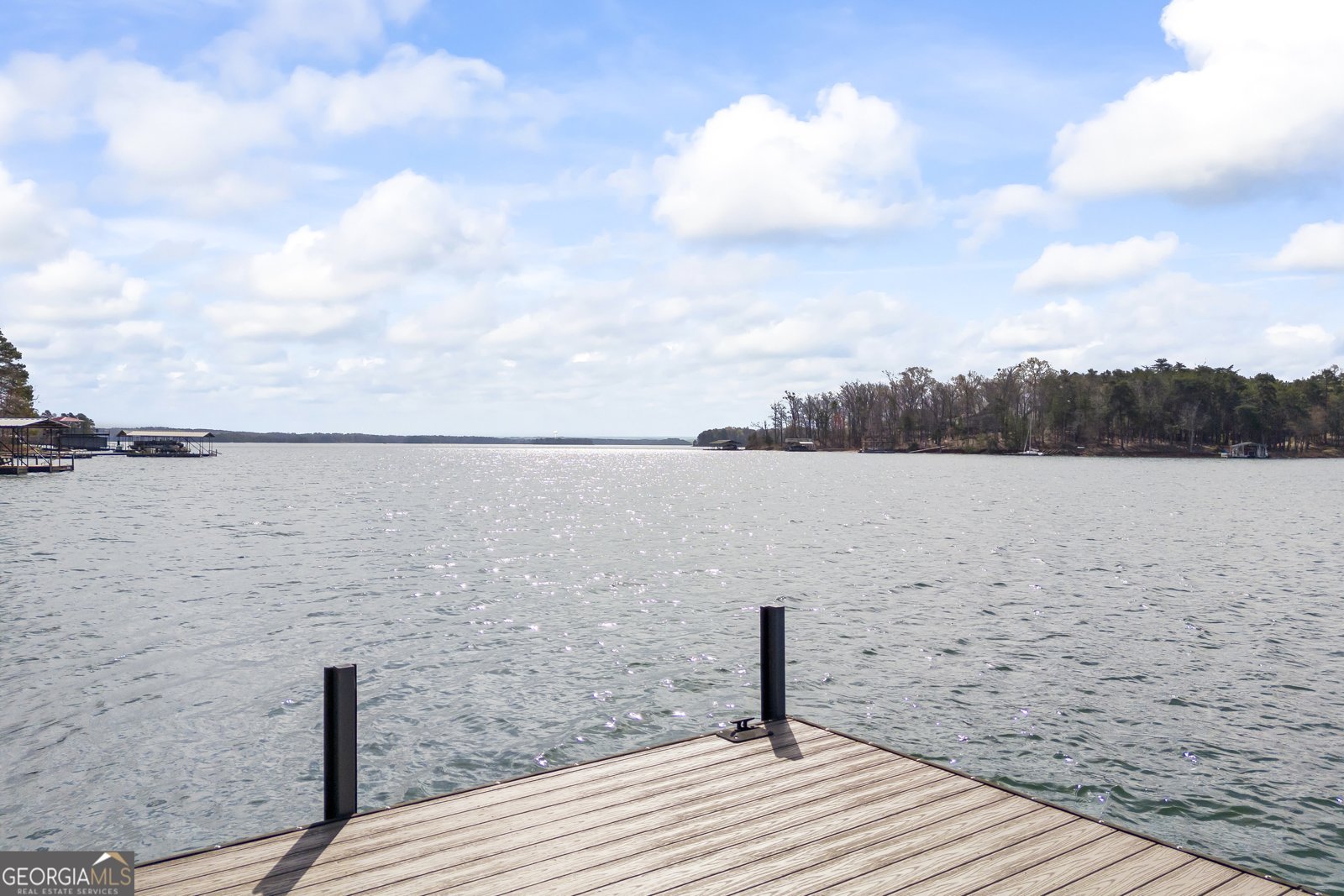 1300 Tranquility Lane Hartwell - 12