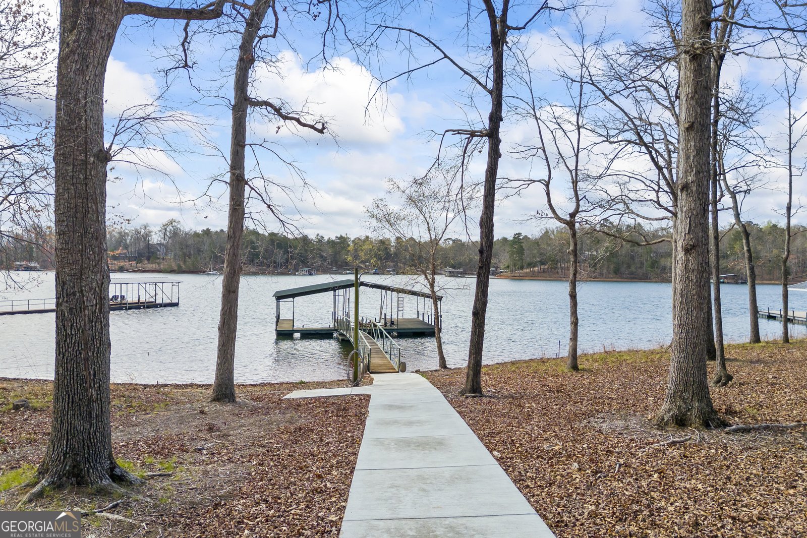 1300 Tranquility Lane Hartwell - 8