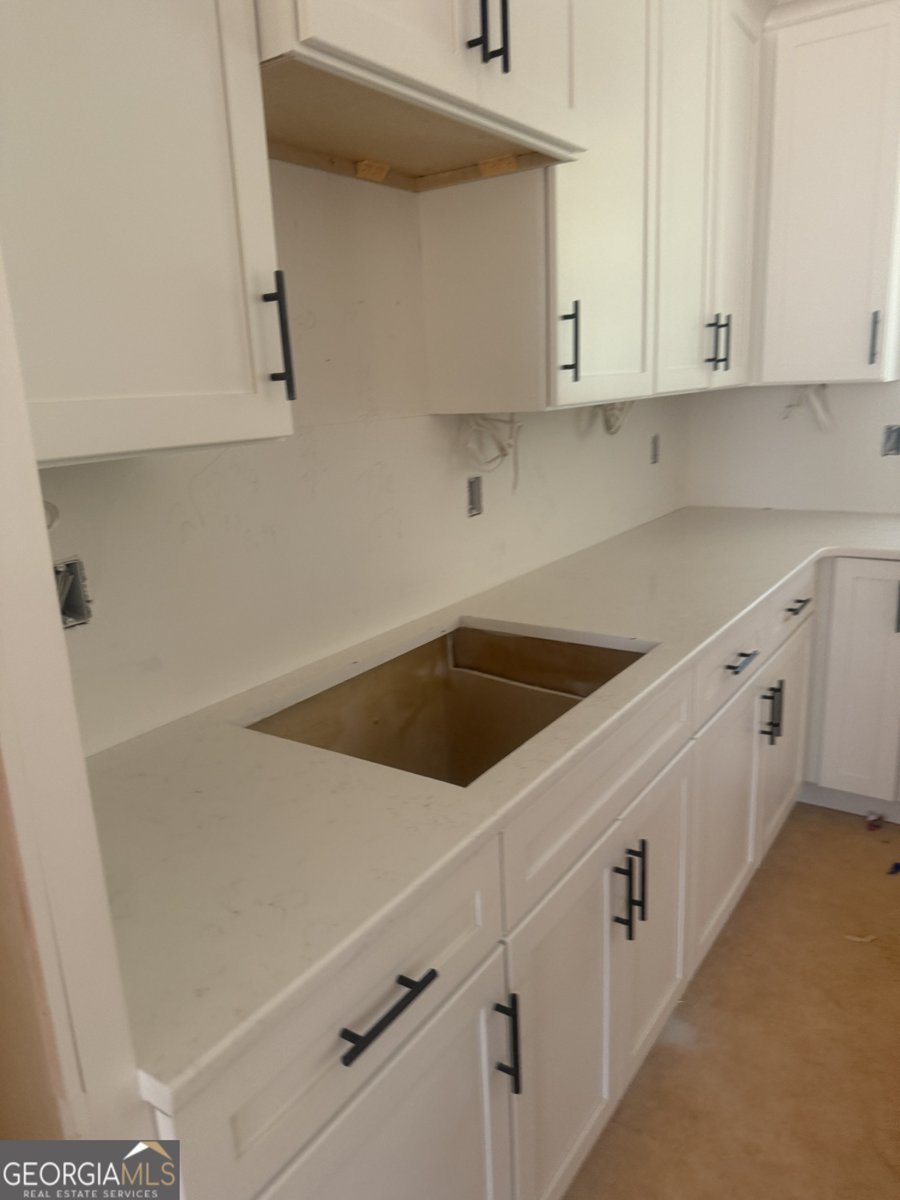 311 Clover Pass Forsyth - 11