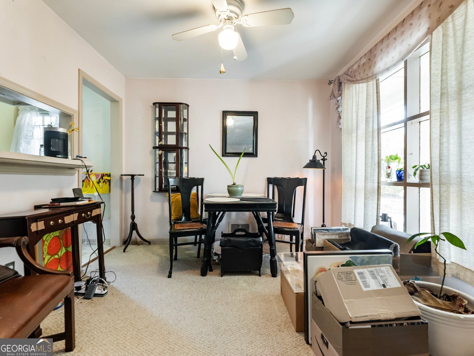 46 BELLE ISLE Road Atlanta - 19