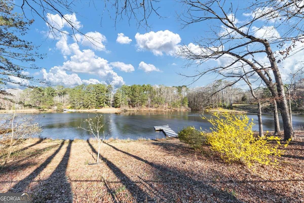 4258 Rocky Ledge Way Snellville - 65