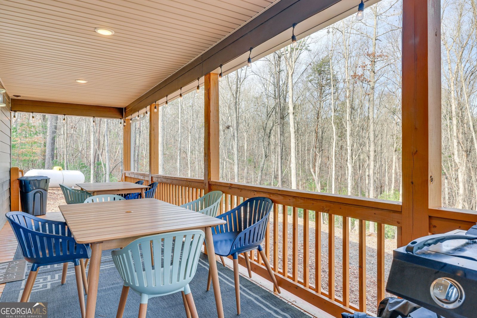 480 Alcan Way Ellijay - 4