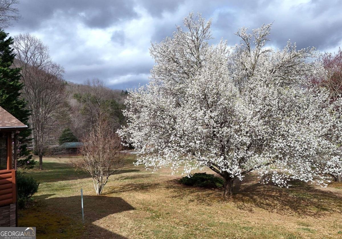 1844 Whispering Pines Hiawassee - 27