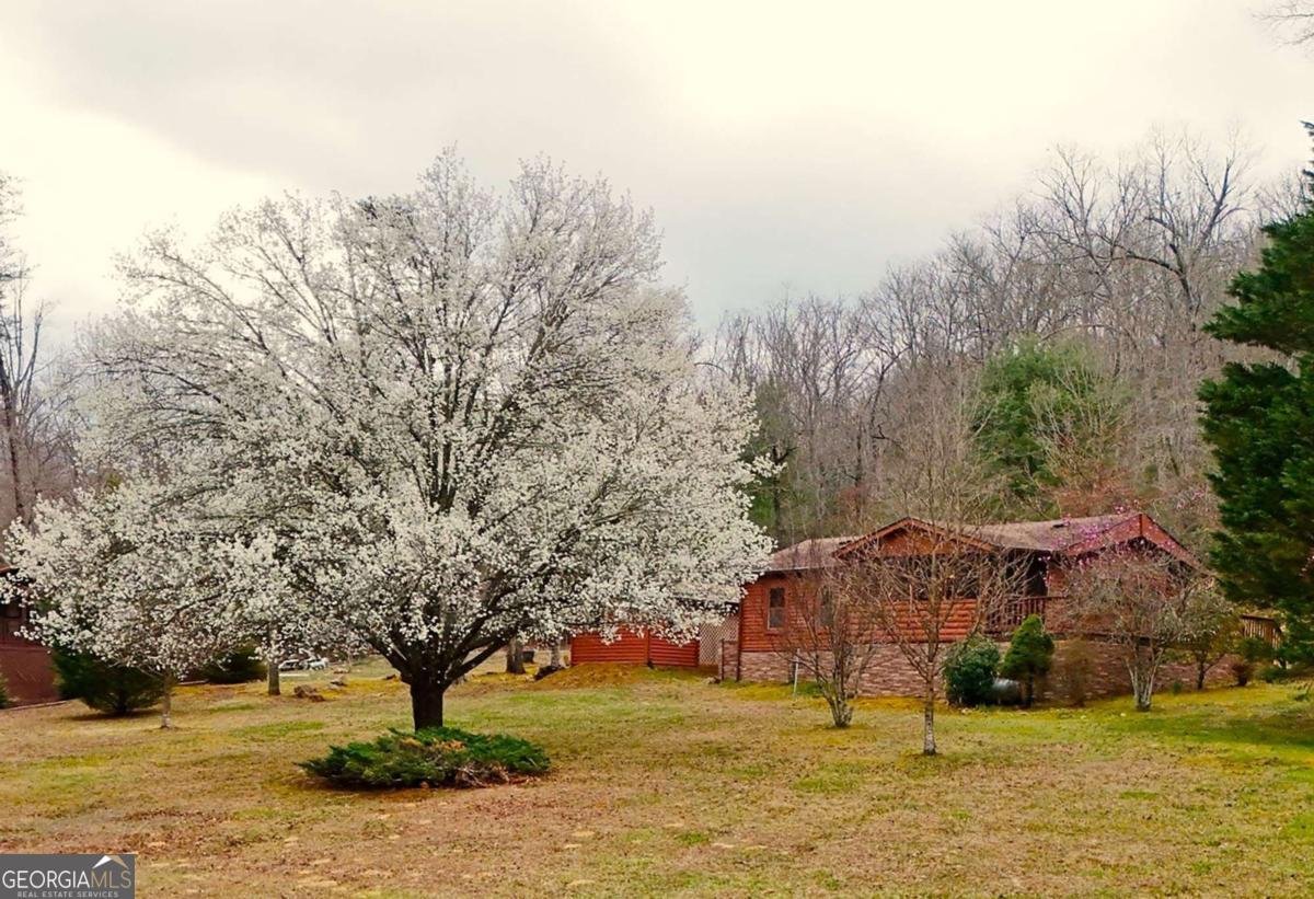 1844 Whispering Pines Hiawassee - 6