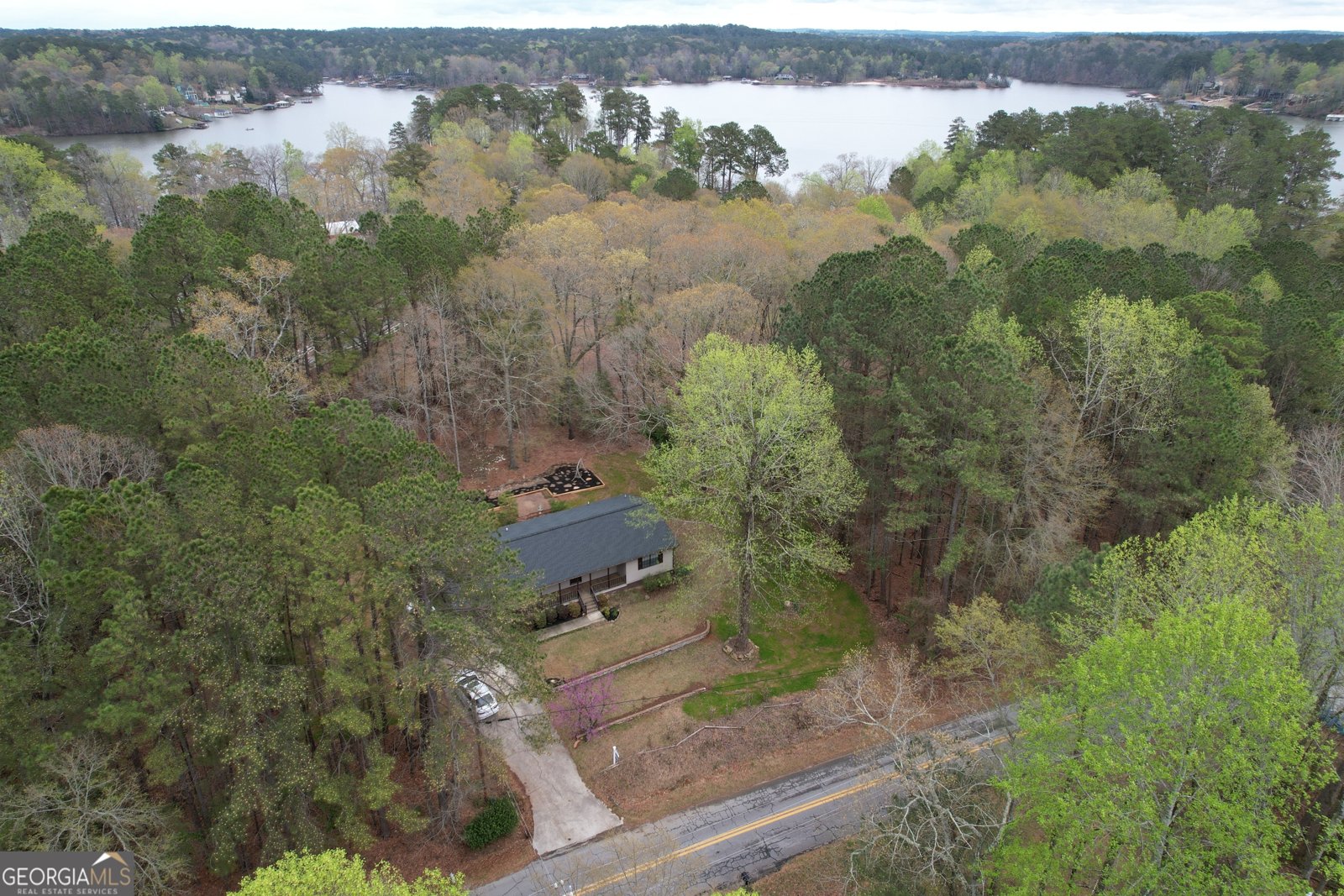 415 Tussahaw Point Drive Jackson - 2