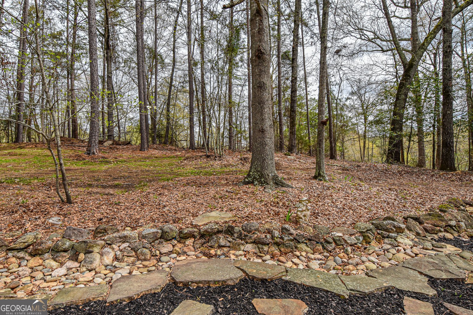 415 Tussahaw Point Drive Jackson - 50
