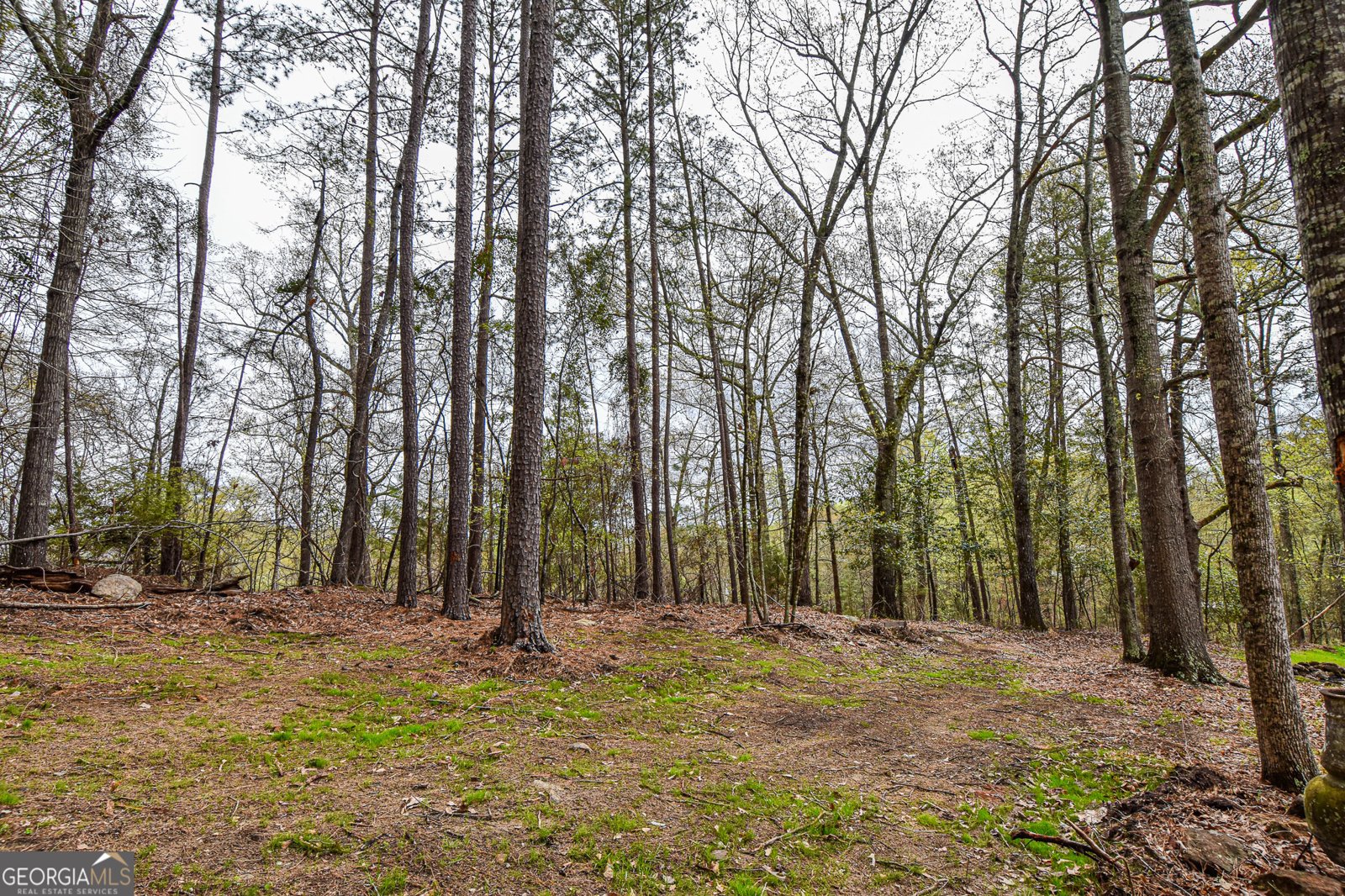 415 Tussahaw Point Drive Jackson - 58