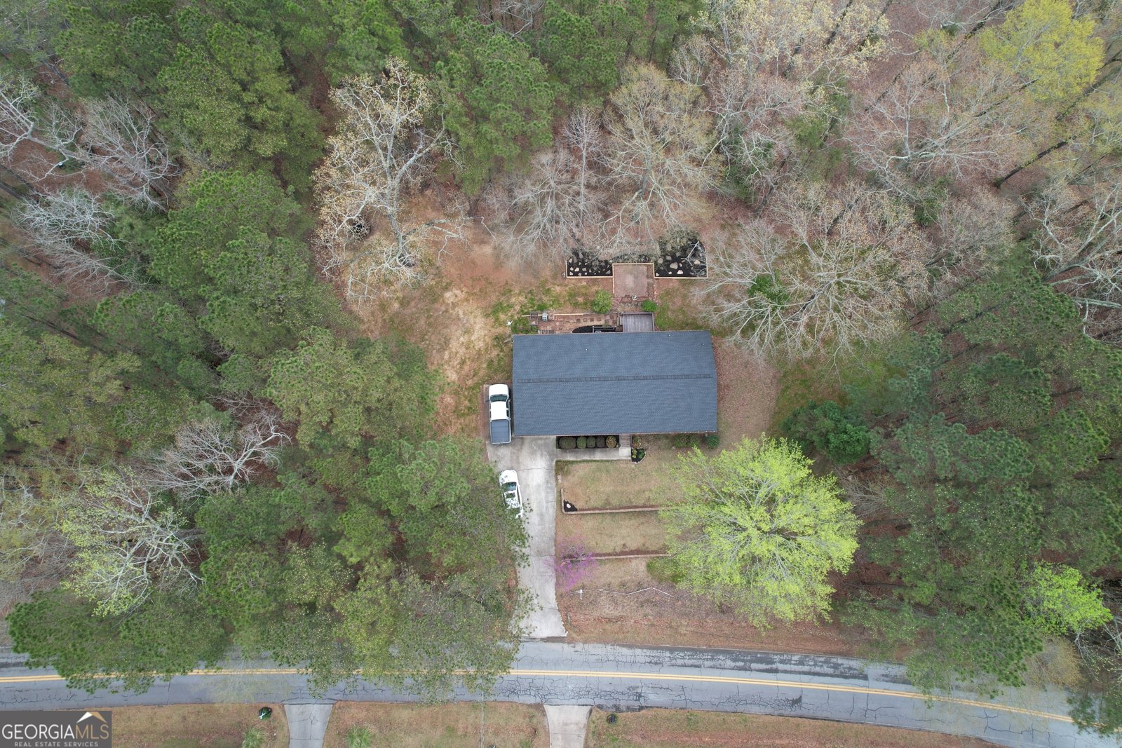415 Tussahaw Point Drive Jackson - 69