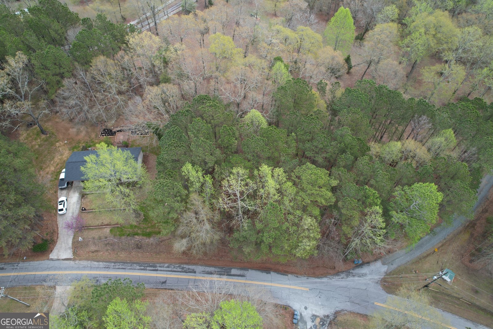 415 Tussahaw Point Drive Jackson - 74