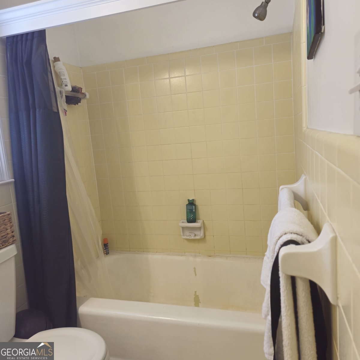 127 McKinley Drive Griffin - 11