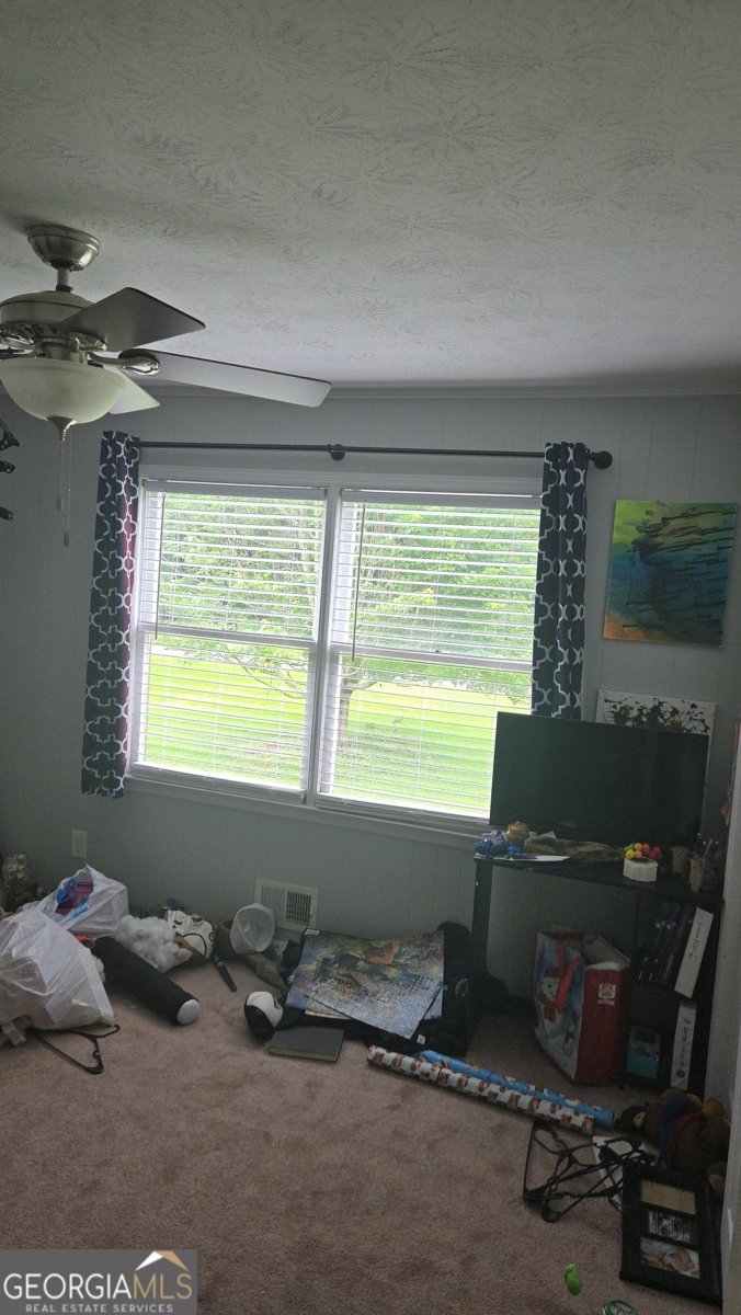 127 McKinley Drive Griffin - 12