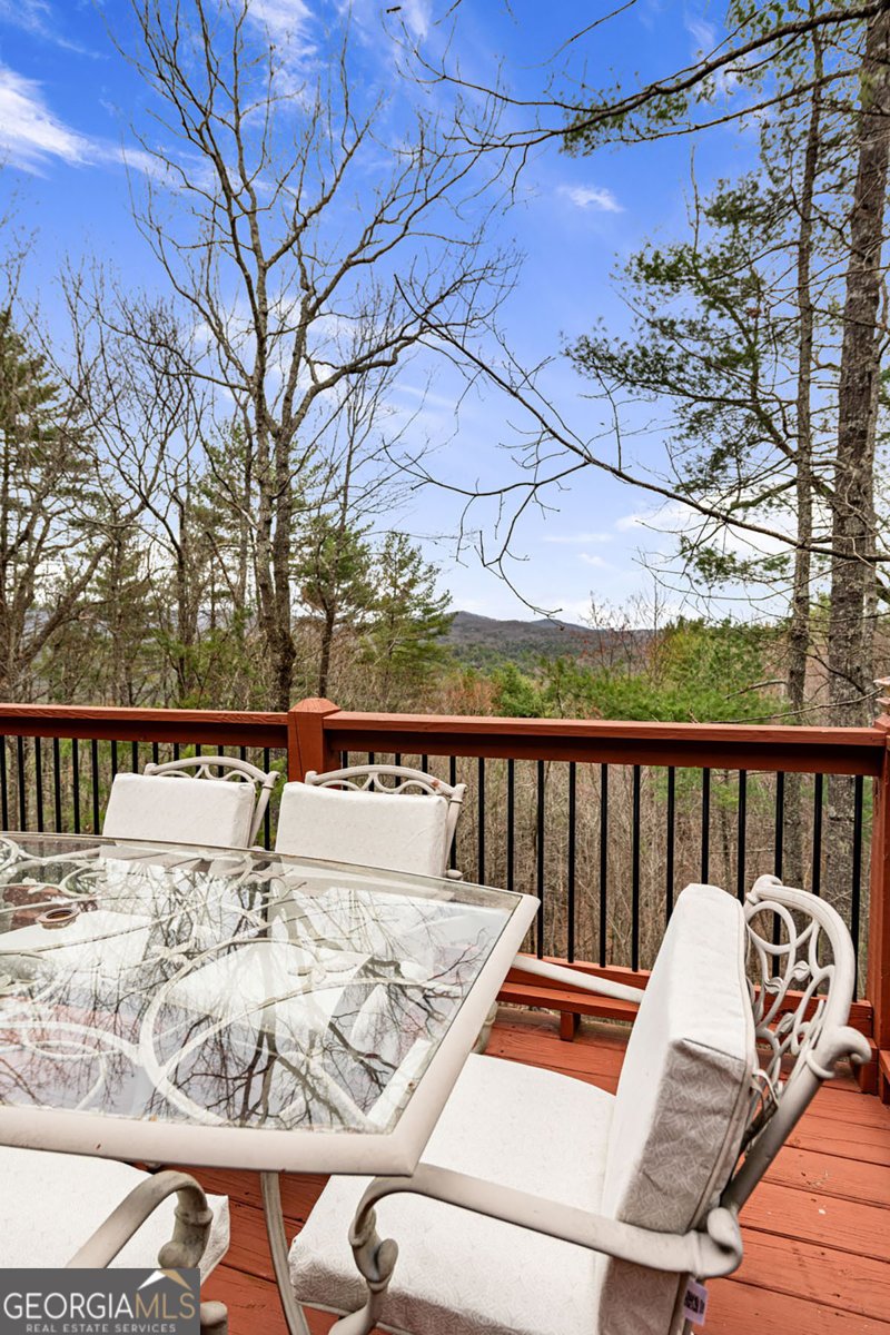 1036 Laurel Creek Trail Blue Ridge - 29