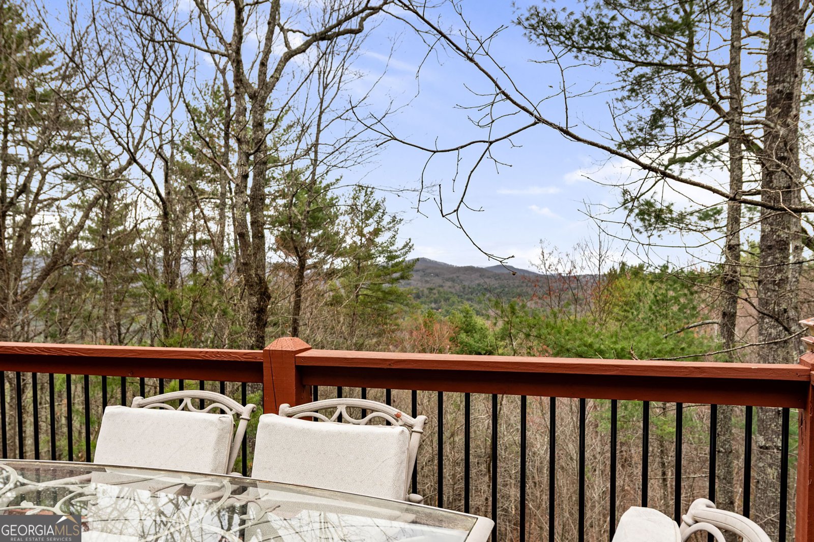 1036 Laurel Creek Trail Blue Ridge - 30