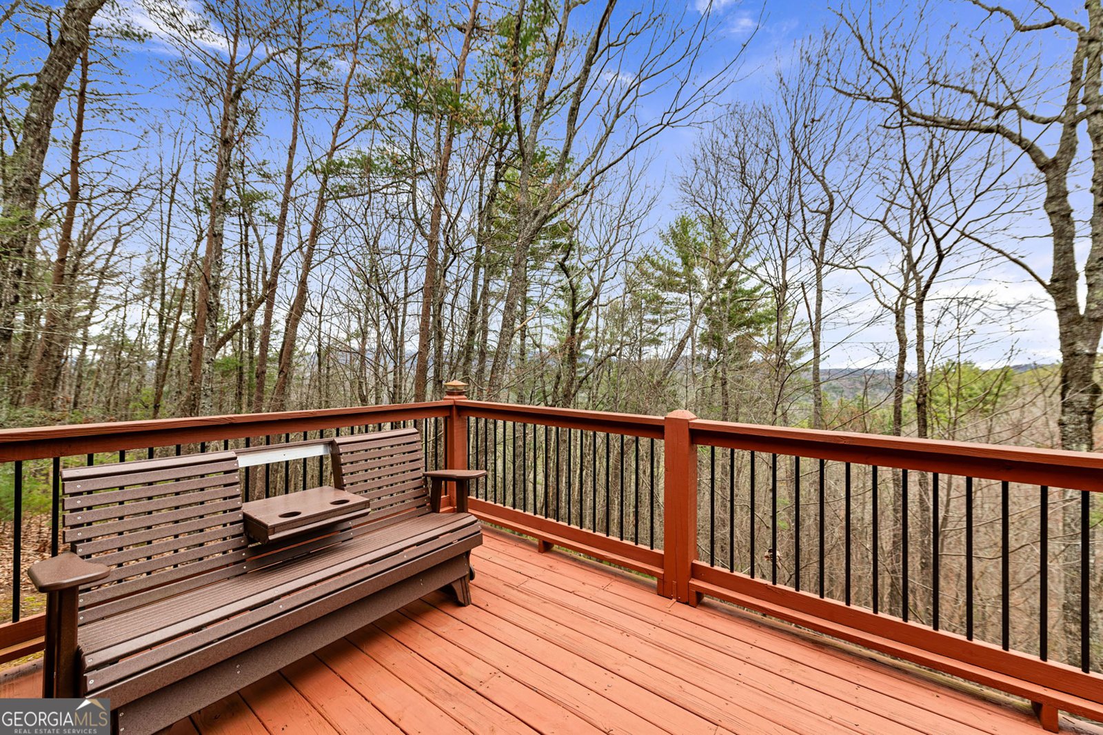1036 Laurel Creek Trail Blue Ridge - 58