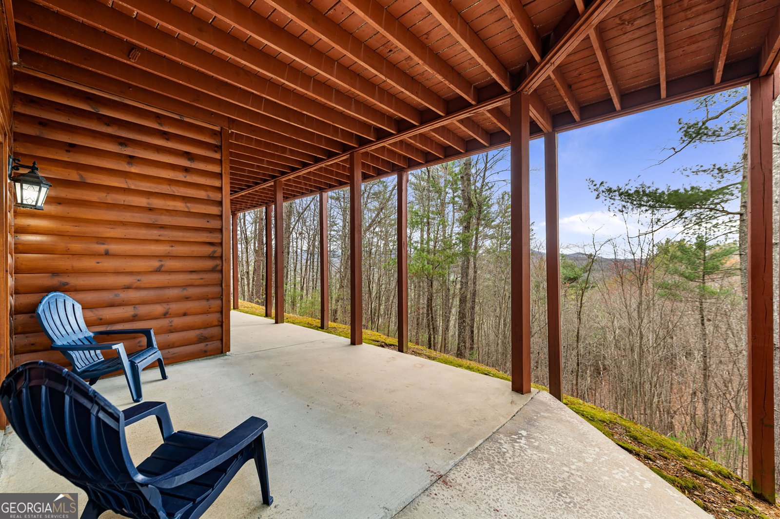 1036 Laurel Creek Trail Blue Ridge - 59