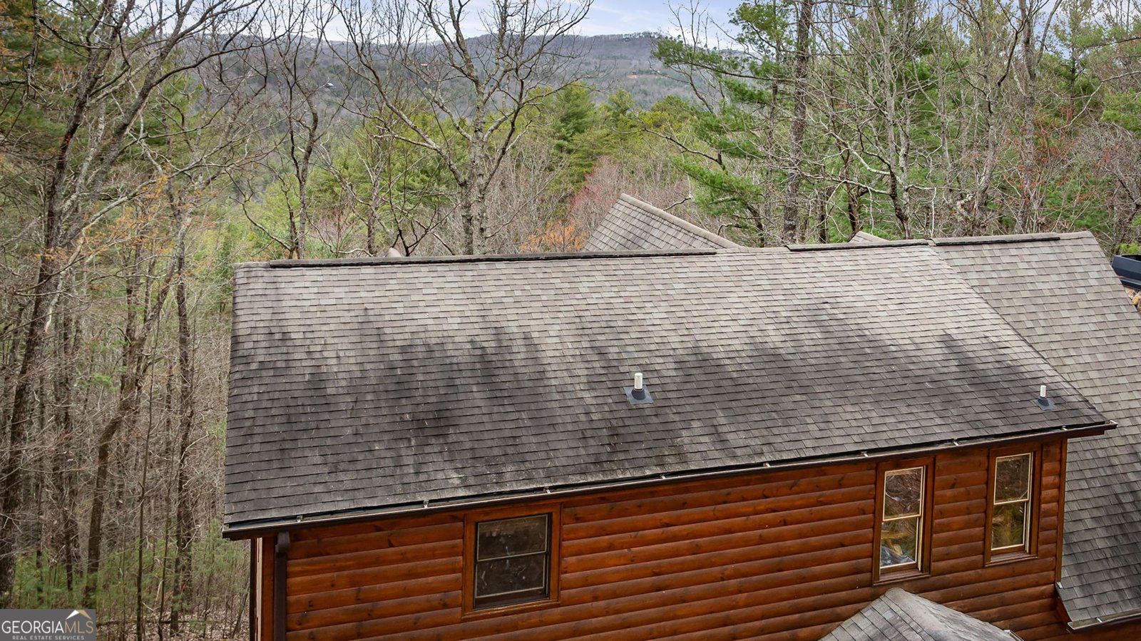 1036 Laurel Creek Trail Blue Ridge - 62