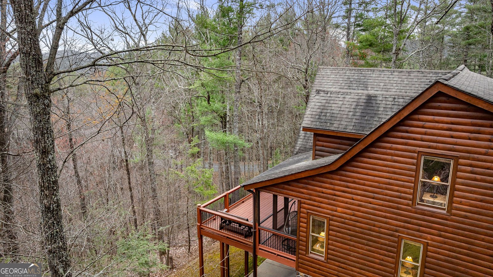 1036 Laurel Creek Trail Blue Ridge - 66