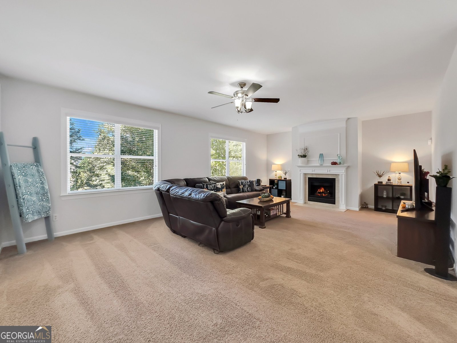 30 Renwick Drive Senoia - 14