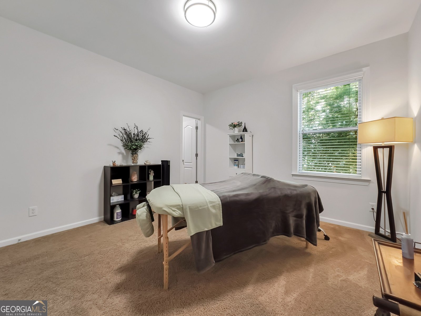 30 Renwick Drive Senoia - 18