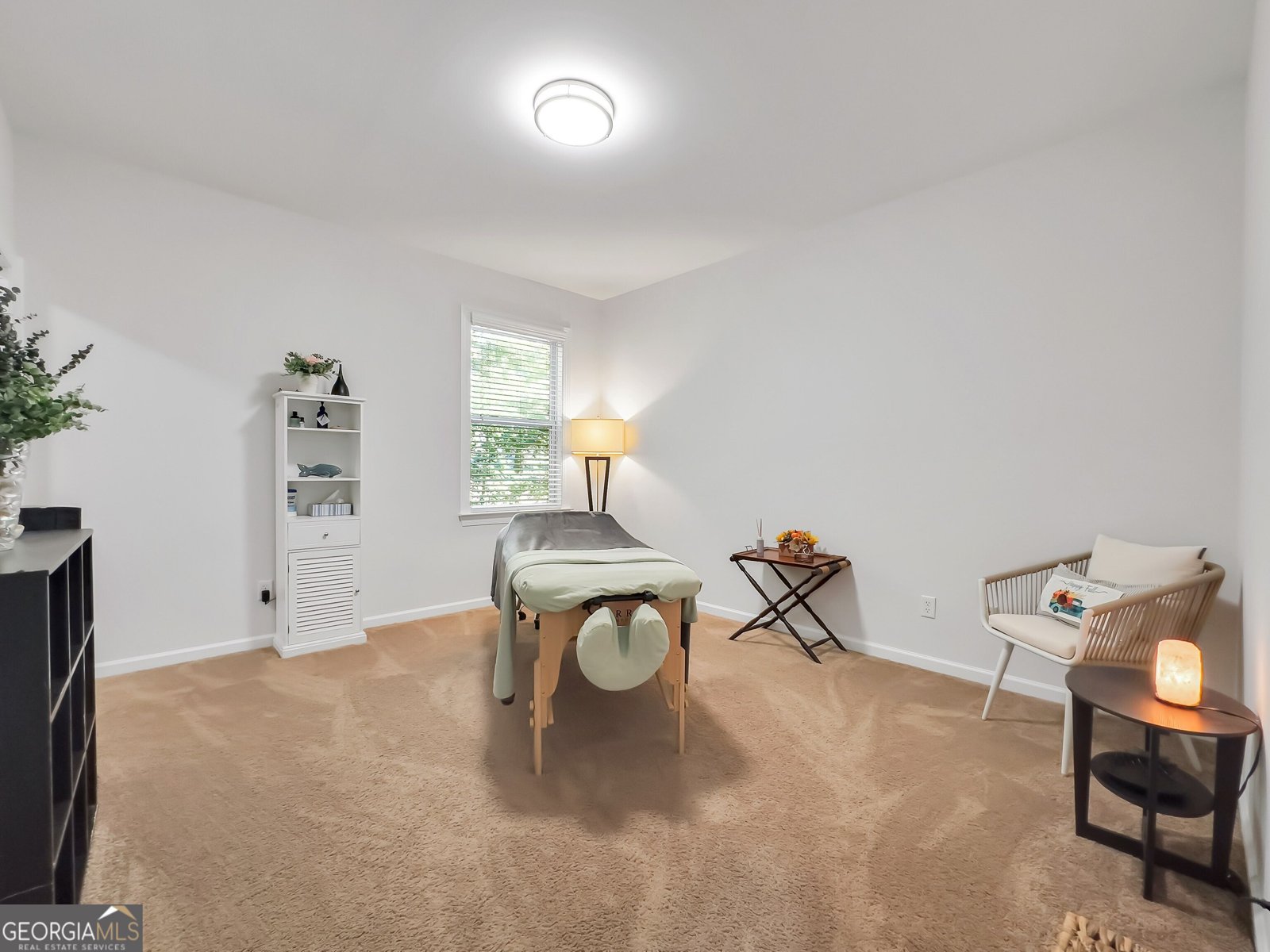 30 Renwick Drive Senoia - 19