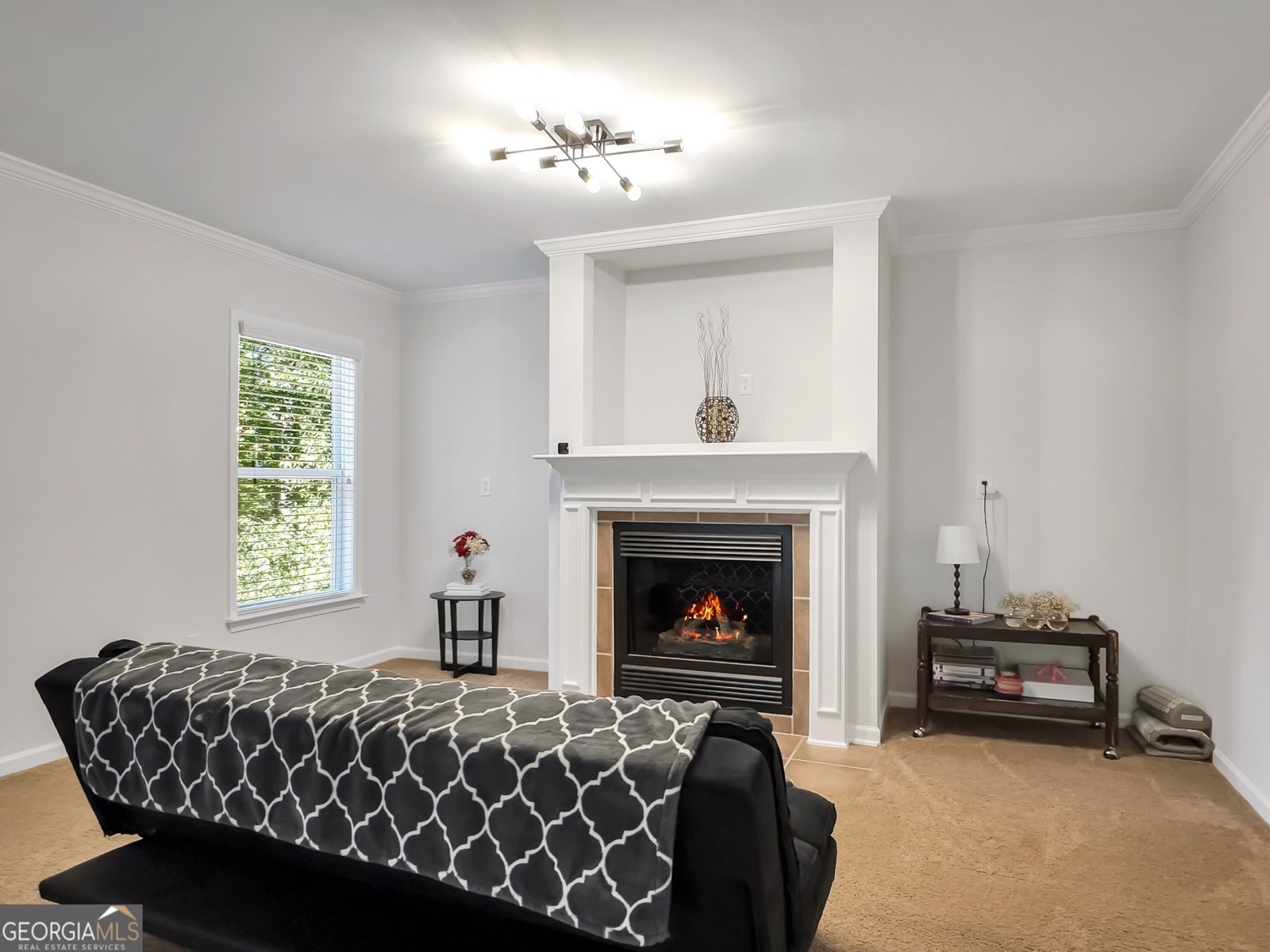 30 Renwick Drive Senoia - 28