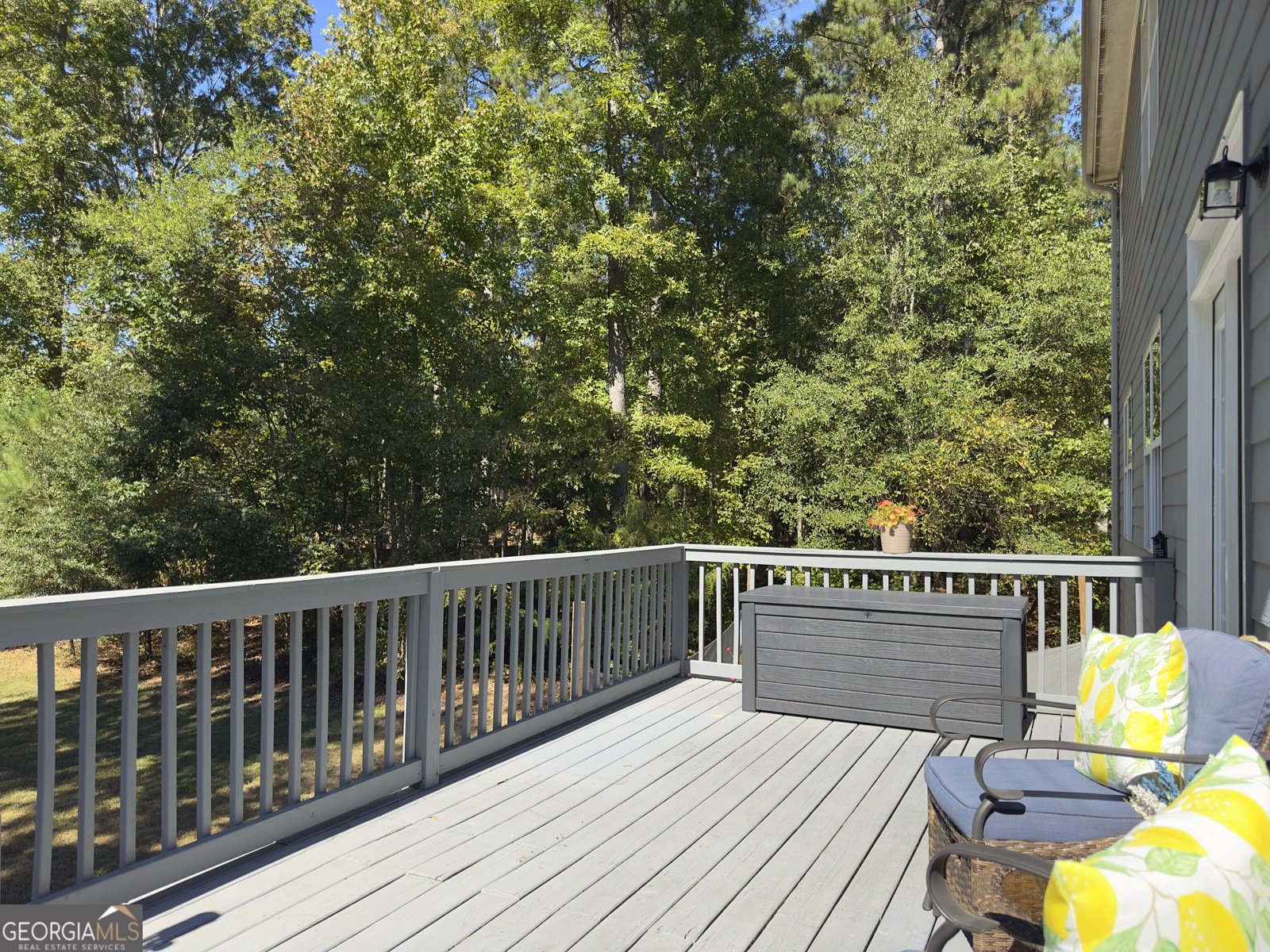 30 Renwick Drive Senoia - 48