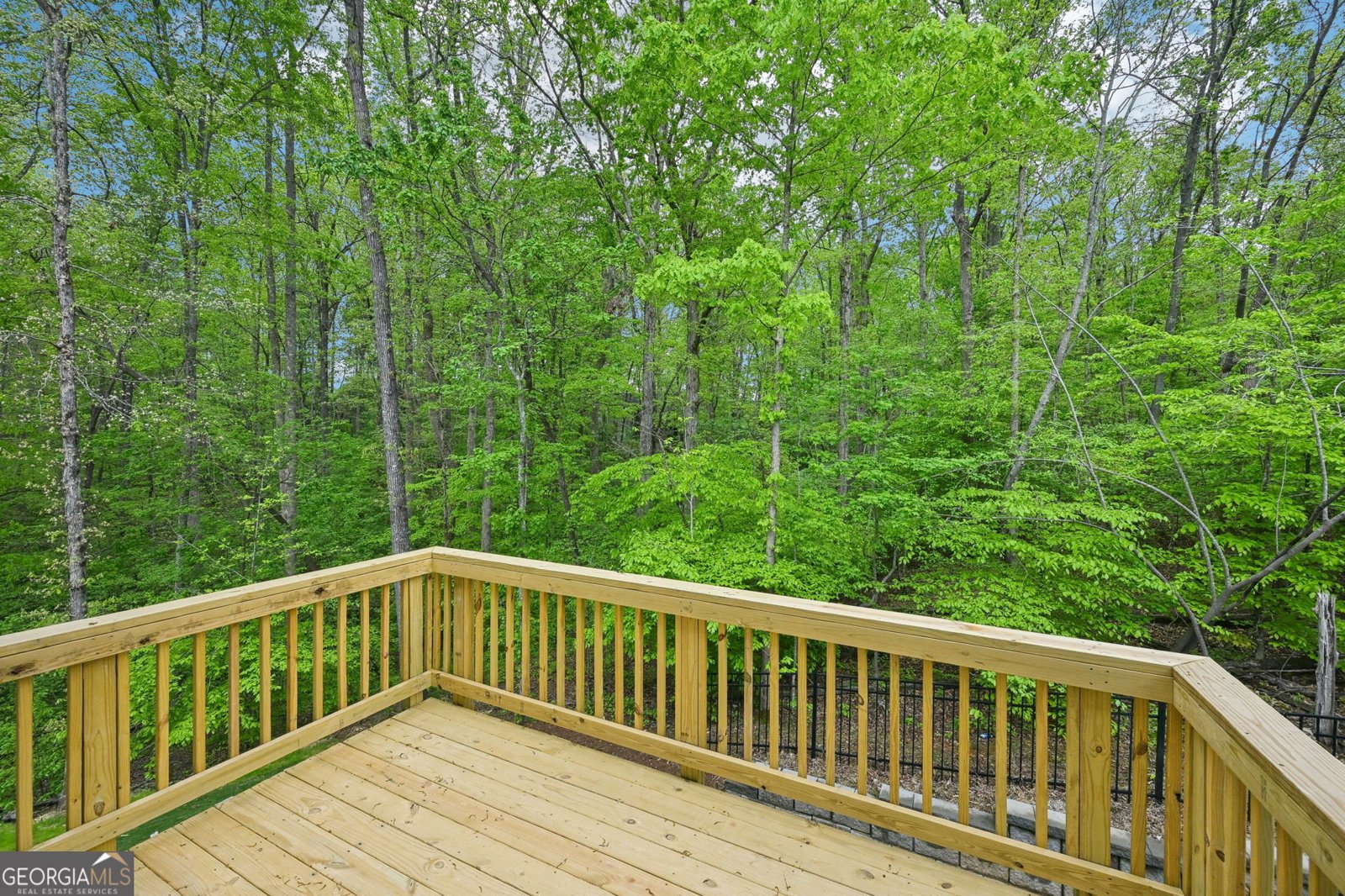 64 Bur Oak Boulevard Dawsonville - 45
